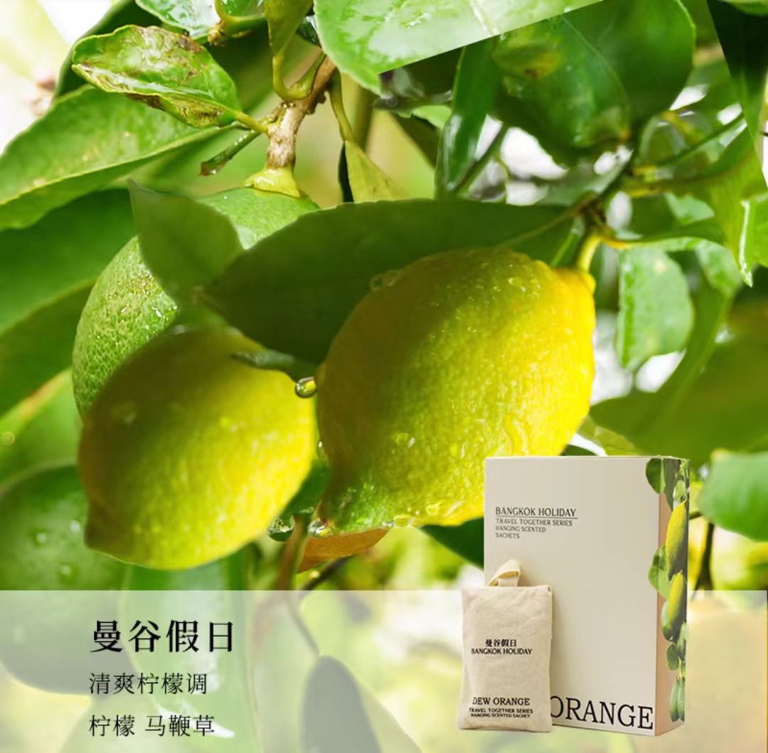 DEW ORANGE露橘悬挂式香包车载衣柜(.带替换装)