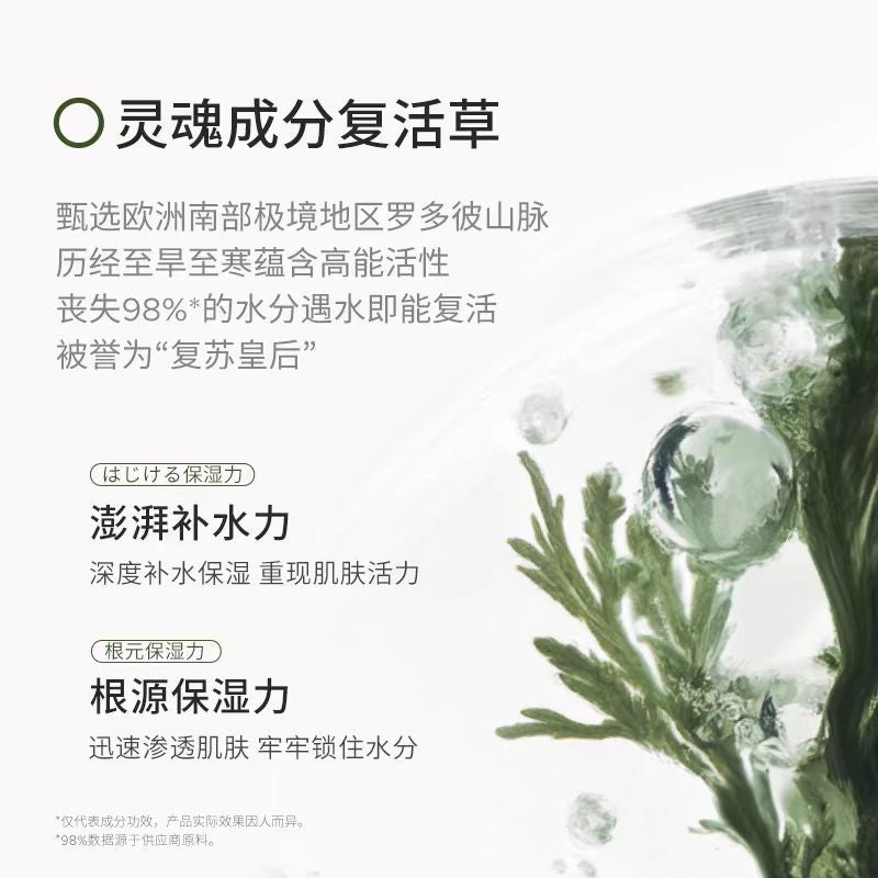 日本BbLAB苾莱宝复活草涂抹面膜175g 保湿修护