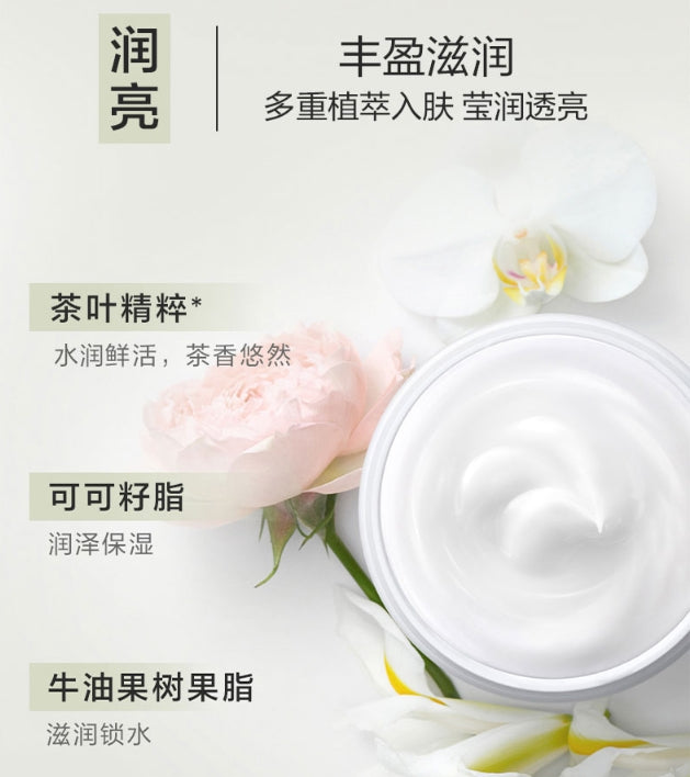 Elizabeth Arden伊丽莎白雅顿白茶身体霜400ml