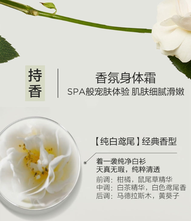 Elizabeth Arden伊丽莎白雅顿白茶身体霜400ml