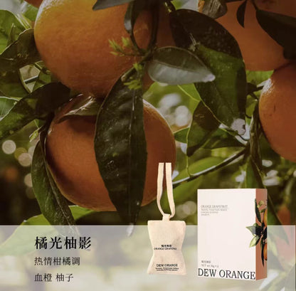 DEW ORANGE露橘悬挂式香包车载衣柜（.带替换装）