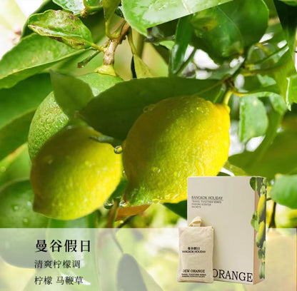 DEW ORANGE露橘悬挂式香包车载衣柜（.带替换装）