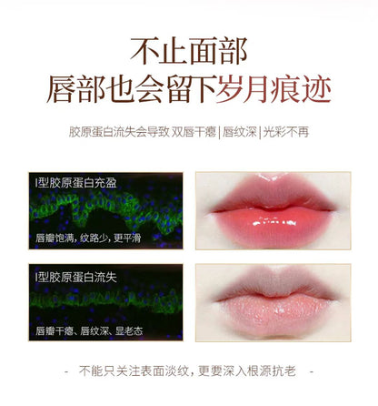 小树美唇部精华油口红唇釉 礼盒