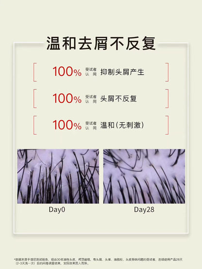 JohnJeff姜黄洗发水615g 控油去屑