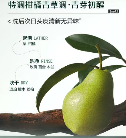 惊时控油净澈洗发水400ml