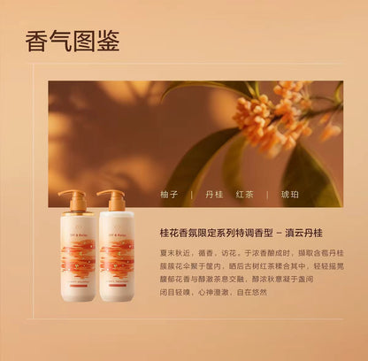 offrelax桂花香氛限定蓬松洗发水
